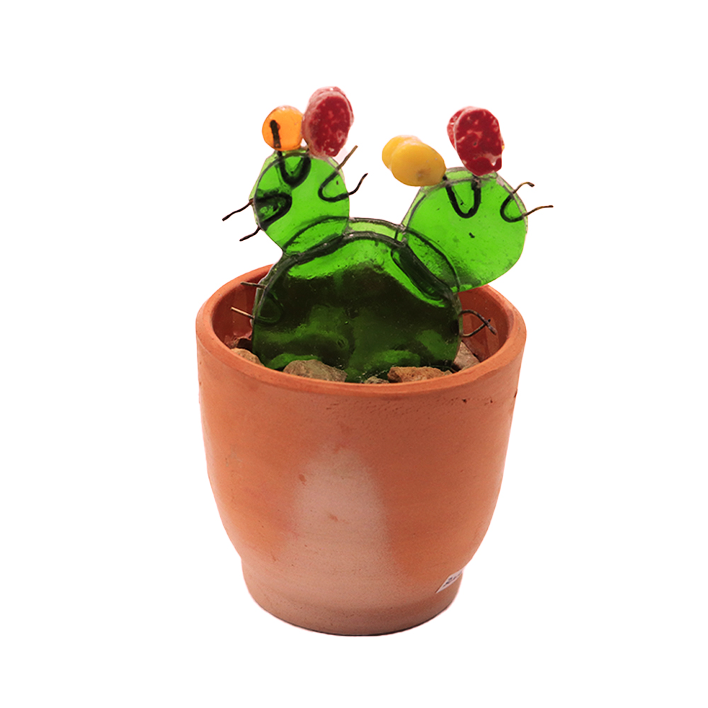 Petit cactus en pot